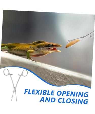 Mipcase Reptile Feeding Clip Leopard Gecko Supplies Reptile Catching Stainless Steel Silver - Buy Online on GoSupps.com