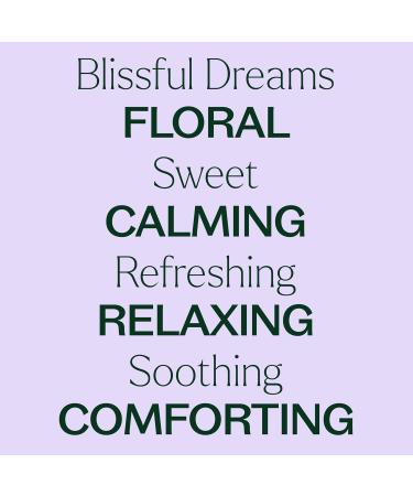 Plant Therapy Blissful Dreams Essential Oil Blend Relaxation While Supporting Quality Rest Grounding & Soothing Bedtime Aroma 10 mL (1/3 oz) 100% Pure Pre-Diluted Roll On Natural Aromatherapy - Buy Online on GoSupps.com