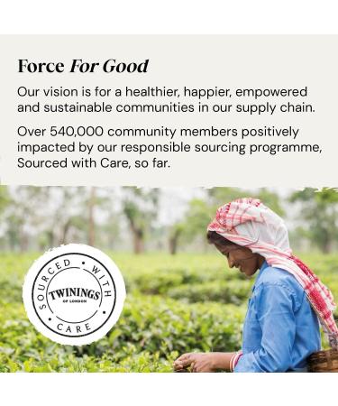 Twinings Superblends Immune Support Tea - Blackcurrant Raspberry & Elderberry Herbal Tea Infusion - 80 Biodegradable Tea Bags with Echinacea Root & Vitamin D - Buy Online on GoSupps.com
