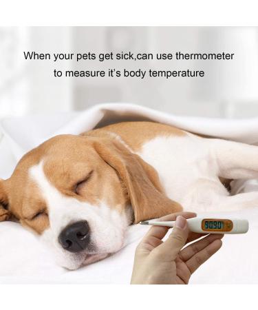 Pet First Aid Kit Veterinary First Aid Bag for Dog Cat Rabbit Animal with Otoscope feeder Perfect for Home Care and Outdoor Travel Emergencies - Buy Online on GoSupps.com