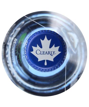 Clearly Canadian Mountain Blackberry Sparkling Water 11 Fl Oz - Pack of 2 - Buy Online on GoSupps.com