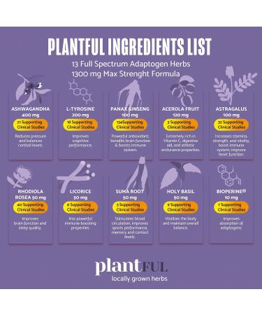 Adrenal Support & Cortisol Manager Supplement Ultra High Purity Adaptogens Ashwagandha Extract Rhodiola Rosea Capsules for Natural Energy Fatigue Mood Boost Non GMO - Buy Online on GoSupps.com