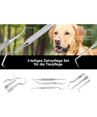 Stainless Steel Pet Dental Care Set | Tartar Scratches Dog & Cat Tooth Cleaner | Mini Toothpick for Rodents - Buy Online on GoSupps.com