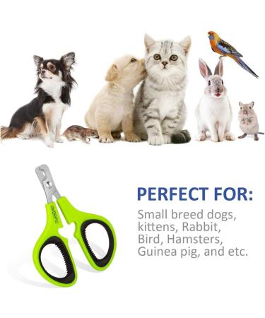 OneCut Nail Clippers for Pets - Professional Cat & Kitten Claw Trimmers - Ideal for Small Dogs & Puppies - Updated Green Design - Buy Online on GoSupps.com
