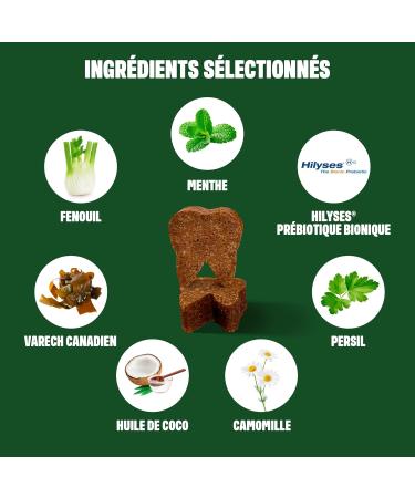 ivvi Dental - Dental Hygiene Snacks for Dogs. Mint Parsley Fennel Chamomile Coconut Oil Brown Seaweed. 60 Snacks with Chicken. Promotes Healthy Teeth Fresh Breath Healthy Gums - Buy Online on GoSupps.com