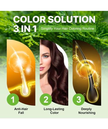 CCKULOOB Hair dye black hair color shampoo 3in1 hair color shampoo with herbal extracts natural coverage of gray hair Hair Color shampoo for dry hair long lasting 500 ml chestnut brown - Buy Online on GoSupps.com