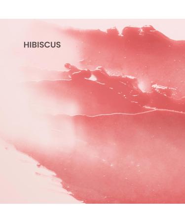 Burt's Bees Lip Tint Balm for Valentine's Day with Long Lasting 2 in 1 Duo Tinted Balm Formula Color Infused with Hydrating Shea Butter for a Natural Looking Buildable Finish Hibiscus (1-Pack) - Buy Online on GoSupps.com