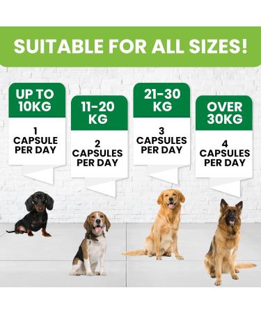 Turmeric for Dogs | Joint Pain Relief & Anti-Inflammatory Supplement | Senior Dog Joint Care with Curcumin & Black Pepper | 120 Capsules - Buy Online on GoSupps.com