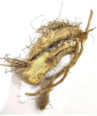 CROW Kateri Jad Root - Solanum Xanthocarpum Bhatkatiya Root Kantakari - Katehli Katehri - (Ringni Mool) Kateli (500 GMS)