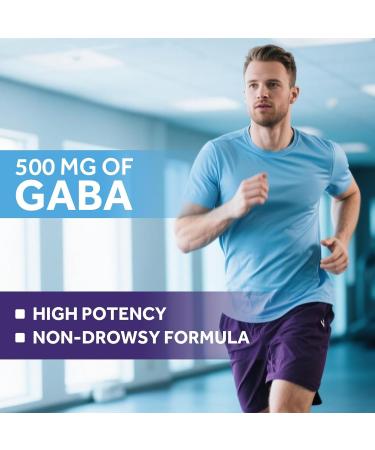 Doctor's Recipes GABA Magnesium Glycinate L-Theanine Supplement GABA (Gamma-Aminobutyric Acid) 500mg Vitamin B6 B1 B2 B3 B5 Biotin Calm Sleep Relaxation Mood Support 90 Veggie Capsules - Buy Online on GoSupps.com