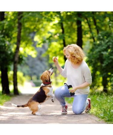 Mipcase 3pcs Pet Snack Pack Travel Snack Bag Nylon Coin Pouch Outdoor Dog Treat Bag Portable Ribbon Sx3pcs Light Greenx3pcs - Buy Online on GoSupps.com