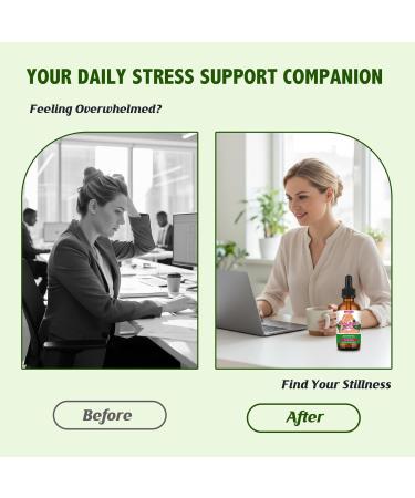 ABYSSUS Holy Basil Liquid Drops Alcohol-Free Tulsi Tincture with Ashwagandha for Stress Relief | Organic Vegan Non-GMO Adaptogen Supplement 2 fl oz - Buy Online on GoSupps.com