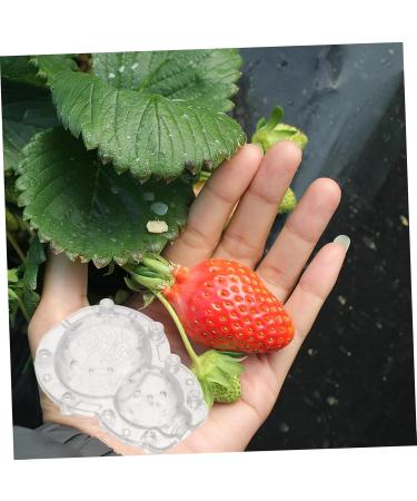 SEWOART 1 Set Shaping Clear Mold Vegetable DIY Molds Melon Stereotypes Plastic Forming Machine - Buy Online on GoSupps.com