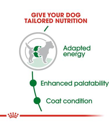 ROYAL CANIN 8kg Mini Adult Dry Dog Food - Buy Online on GoSupps.com