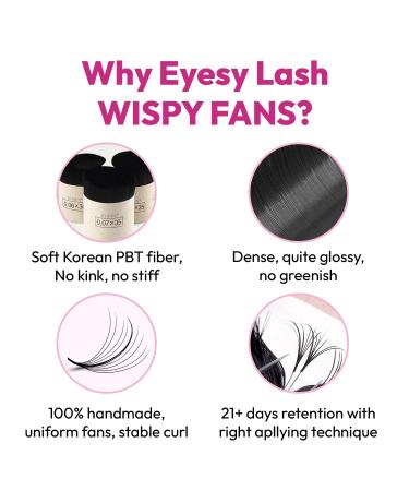 500 Wispy Lash Extensions | 5D Premade Fans | 0.07 CC Curl 12mm | Kim K Style Natural Volume Eyelash Extensions - Buy Online on GoSupps.com