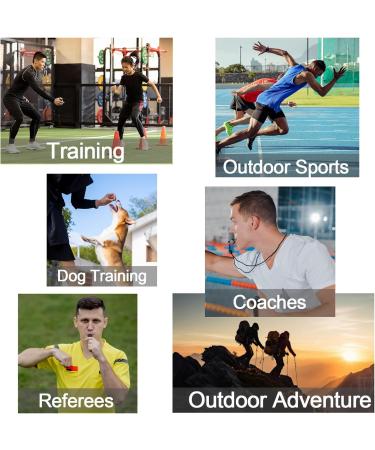 Stainless Steel Whistle Set - 2 Loud Clear Referee Whistles with Lanyard for Sports Dog Training & Education - Buy Online on GoSupps.com