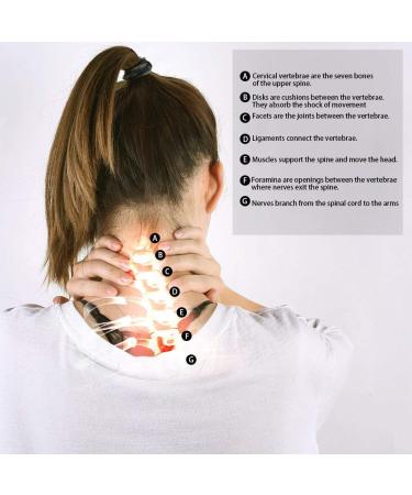 Warm Girl Inflatable Adjustable Neck Collar Pillow - Cervical Traction Device for Neck & Shoulder Pain Relief at Home - Blue - Buy Online on GoSupps.com