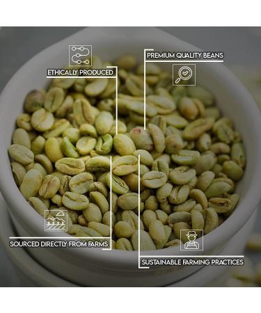 Unleashed Coffee 2LB Peaberry - Specialty Grade Green Arabica Beans - 2 Pound Mini Me Pack - Buy Online on GoSupps.com