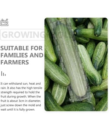 POPETPOP 2 Pcs Pentagram Mold Vegetables Vegetable Grow Forming Fruit Shaping Mould Stereotypes Strawberry - Buy Online on GoSupps.com