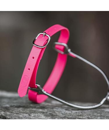 SPRENGER BioThane Spur Straps 45 cm Pink | Durable Stainless Steel for Optimal Performance - International Shipping - Buy Online on GoSupps.com