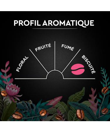 CARTE NOIRE - Caf Grain Carte Noire "Secrets de Nature" - Congusta & Mundo Novo - Certifi Rainforest Alliance - Paquet de 2 kg - Fabriqu en France - Buy Online on GoSupps.com