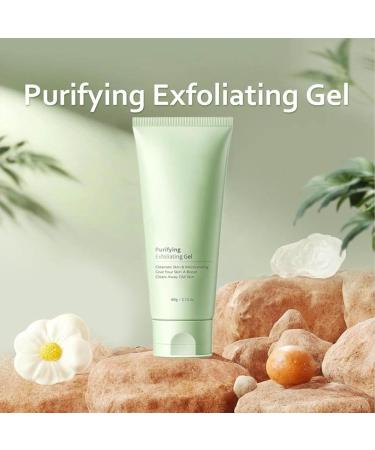 Greteam Purifying Exfoliating Gel Greteam Exfoliating Scrub Deep Cleansing Face and Body Exfoliating Scrub Gel Purifying Exfoliating Gel Moisturizing Cleanses Skin Give (60g 2PC) - Buy Online on GoSupps.com