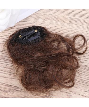 minkissy 1pc Front Hair Fringe Flat Bangs Clip in Bangs Wig with Bang Clip Hair Fringe Clip in Fringe Afro Wig Bangs Clip in Hair Extensions Hair Tassel Fake Bangs Woman Small Roll Size 1 Picture 2 - Buy Online on GoSupps.com