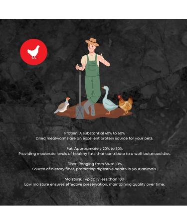 Premium Dried Mealworms & Fly Larvae Mix for Chickens and Wild Birds 5 LBS (2.25 KG) - Ma Poule Express - Buy Online on GoSupps.com