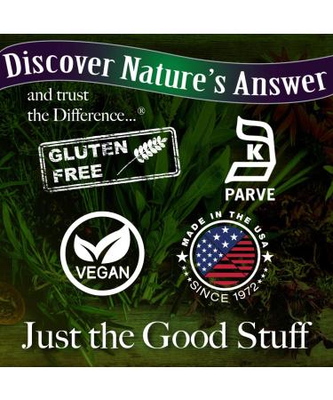 Dong Quai Root 1000mg - Supports Female Hormone Balance | Non-GMO, Vegan, Gluten-Free | 90 Vegetarian Capsules - Buy Online on GoSupps.com