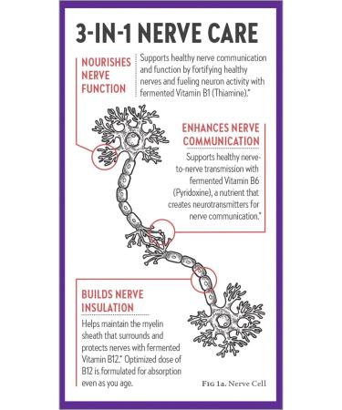 New Chapter Nerve Health Supplement - 3-in-1 Support with Vitamin B1, B6, B12 - 30ct - Buy Online on GoSupps.com