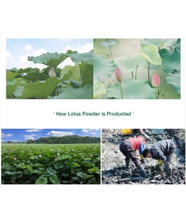 TULGIGS Lotus Root Powder 7oz (200g) - 100% Pure Natural Fiber with Vitamin C and Amino Acids | Made In Korea - Buy Online on GoSupps.com