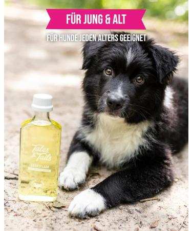 Tales & Tails Salmon Oil for Dogs - Omega 3 Rich 2x240ml Pack | No Artificial Additives | Pure Salmon Oil for Dog Food - Buy Online on GoSupps.com