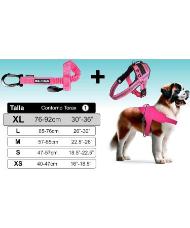 Shop Patented XL Pink Dog Leash & Harness for Biking - Includes 3-Ring Dishes & Special Bicycle Bridles - Buy Online on GoSupps.com