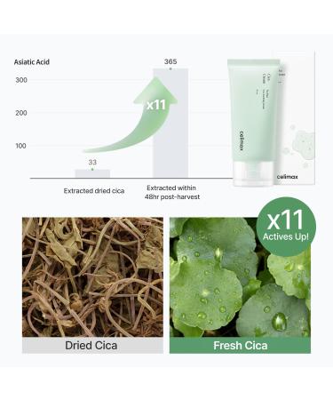 Celimax Real Cica Soothing Cream - 73% Fresh Cica Extract - Lightweight Hydrating Gel 50ml - Buy Online on GoSupps.com