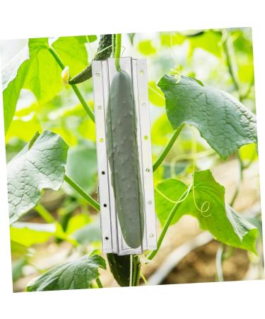 KONTONTY Cucumber Shaping Molds 4pcs Shaped Vegetables Candy Cucumber Heart Vegetable Chocolate X Accessories Vessel Shaping - Buy Online on GoSupps.com