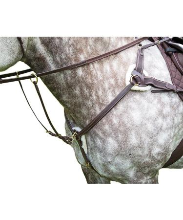 Shires Salisbury Five Point Breastplate Havana Extra Full