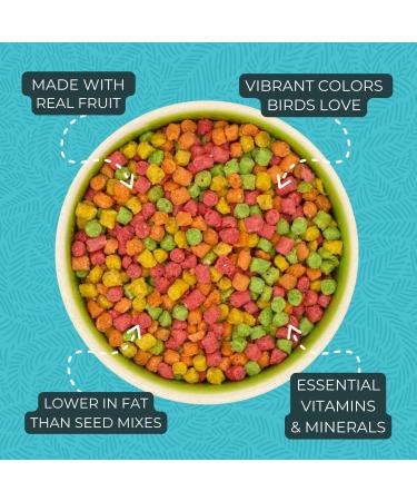 Fruitblend Very Small Bird 2 Pound (907g) - Pack of 2 - Buy Online on GoSupps.com