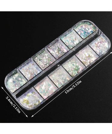 Nail Art Glitter Flake Nail Art Foil Flake Shining Holographic 12 Grids Nail Glitter Flake for Summer Nail Art Decoration Nail Glitter Flakes111 - Buy Online on GoSupps.com