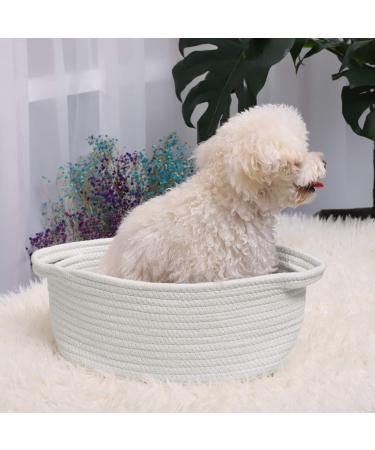 ABenkle Small Woven Storage Basket 12x8x5 | Cute Rope Shelf Organizer for Cat & Dog Toys | Decorative Gift Basket with Handles - White (1 Pack) - Buy Online on GoSupps.com