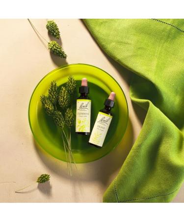 Bach Flower Remedies 1-38 Set - 20ml Bottles for Emotional Wellness - Buy Online on GoSupps.com