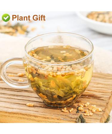 Buy Organic Green Tea - Loose Leaf Japanese Genmaicha 170g | Premium Black Rice & Matcha Blend - Buy Online on GoSupps.com