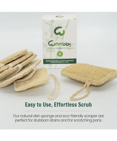 Organic Luffa Kitchen Sponge | Biodegradable Eco-Friendly & Natural Peeling - Buy Online on GoSupps.com