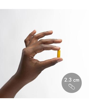 Dr. Mercola Curcumin Advanced - 500 mg Curcumin Root Extract - 95% Curcuminoids - For Vision Health Digestion & Focus - Sustained Release - Non-GMO Gluten-Free & Soy-Free - 30 Capsules (30 Servings) - Buy Online on GoSupps.com