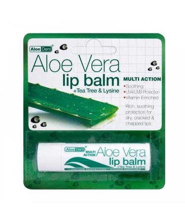 Aloe Dent Aloe Vera Lip Balm-10 Pack
