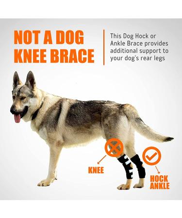 NeoAlly Dog Braces for Back Legs with Dual Metal Spring Inserts - Large, 1 Pair - Buy Online on GoSupps.com
