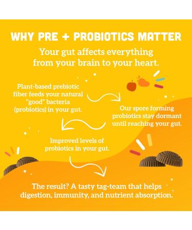 Organic Vegan Prebiotic & Probiotic Gummies for Kids - Peach Mango Flavor - 2 Billion CFU - 60 Gummies (30 Days) - Buy Online on GoSupps.com