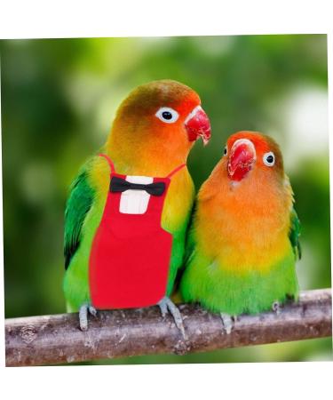 Iplusmile Parrot Suit - Bird Windula Accessories for Home Birds | Pet Needs & Clothing for Bird Lovers | Red Set - Buy Online on GoSupps.com