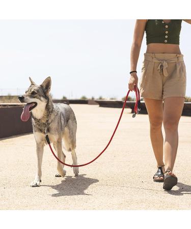 Buy TRHIMLSBRAD Adjustable 3m Dog Leash for Large & Medium Dogs - Multifunctional & Robust in Pink/Red - International Shipping Available - Buy Online on GoSupps.com