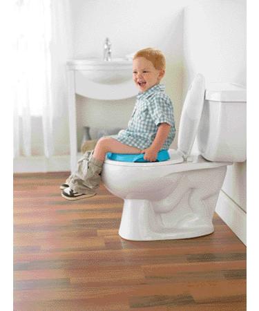 Fisher-Price Potty Training Seat with Lights, Sounds & Phrases - Toddler Toilet with Removable Seat - Learn-to-Flush Potty (Frustration-Free Packaging) - Buy Online on GoSupps.com