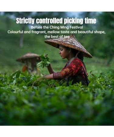 HQZM Premium Green Tea 125g 440oz Picked Preming From Guizhou China Queshe Tea Fresh and Sweet - Buy Online on GoSupps.com